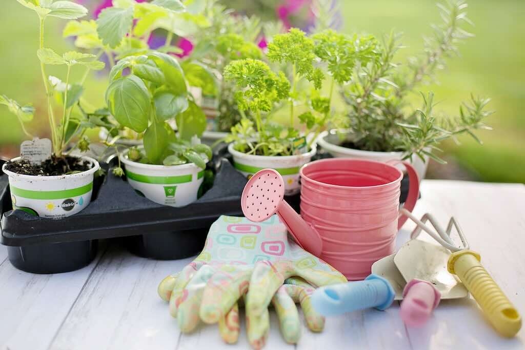 Gardening gifts